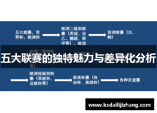 五大联赛的独特魅力与差异化分析
